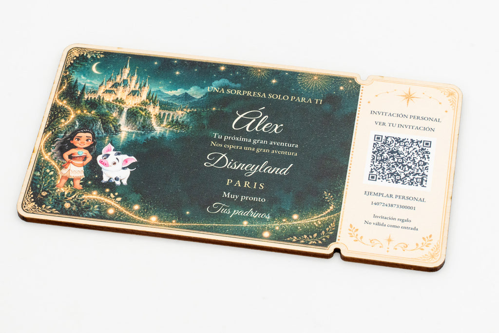 Disneyland Überraschung Geschenk mit Namen