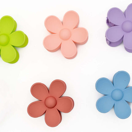 Pinza de Pelo Personalizable