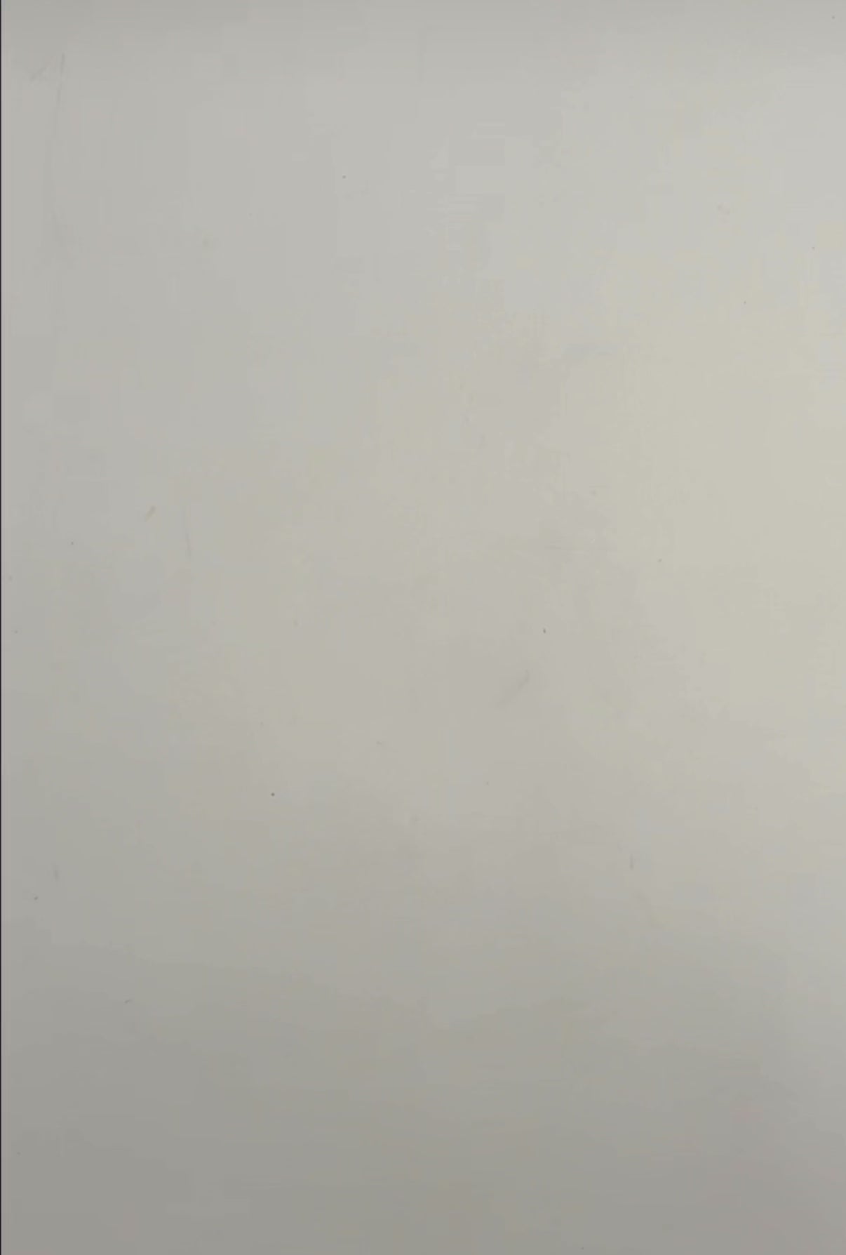 Kindergeschirr PP
